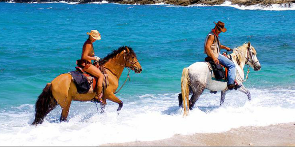 Horseland Mykonos Horse Riding Horseland Mykonos Horse Riding